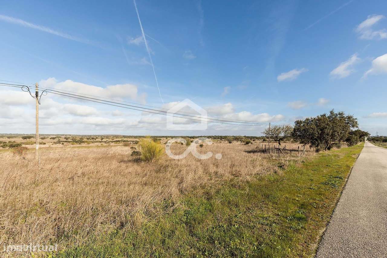 Terreno de 5,4 ha c/ Viabilidade de Construção | Capelins, Alandroal-6