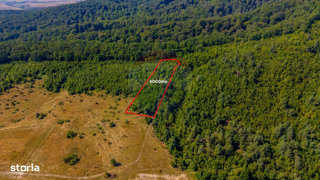 Teren 6,000mp Crizbav / Strada principala - Imagine principală: 3/9