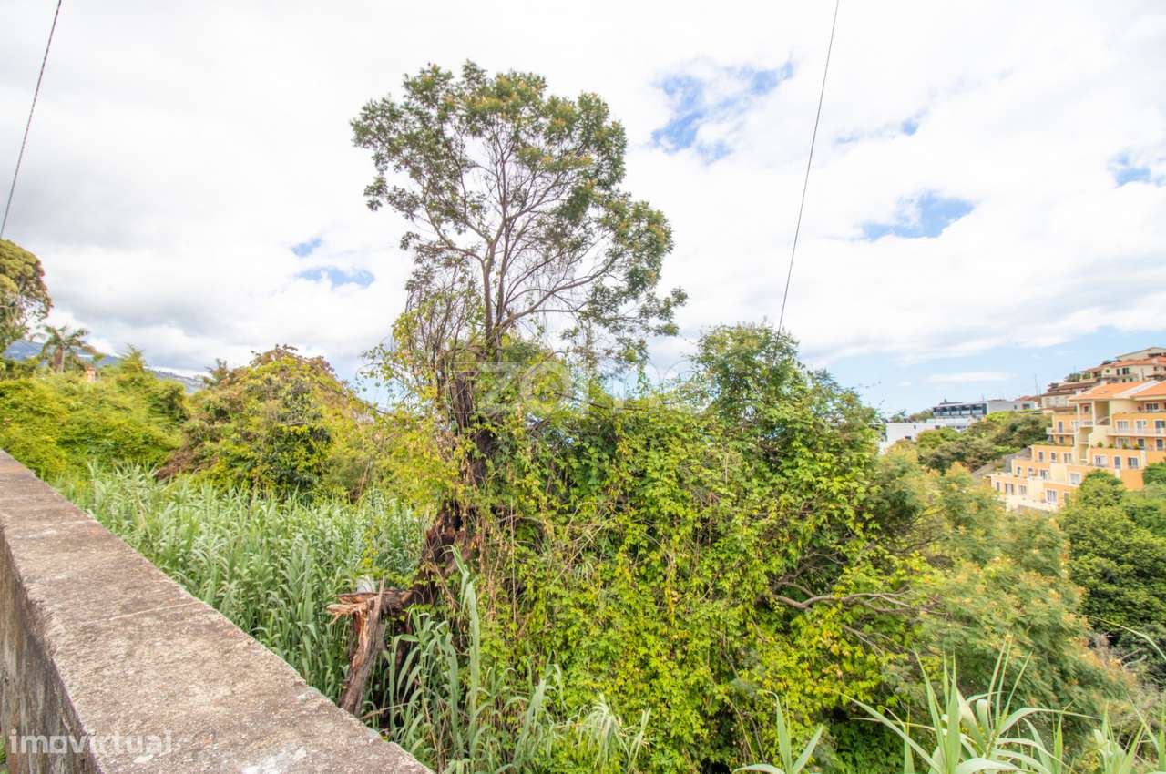 Terreno urbano na Quinta do Leme, Santo António - Grande imagem: 5/12