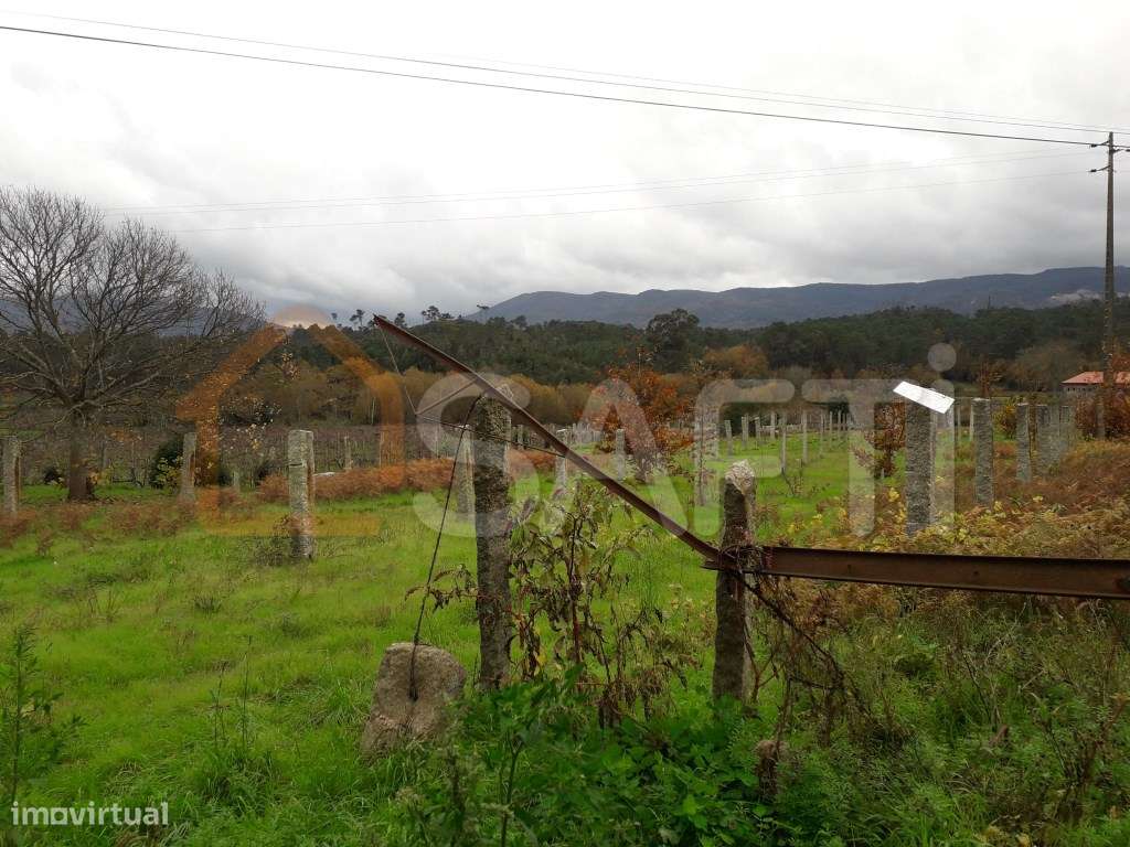 TERRENO - Grande imagem: 3/3