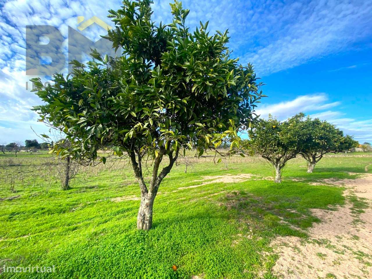 Terreno Rústico  Venda em Escalos de Baixo e Mata,Castelo Branco - Grande imagem: 5/19