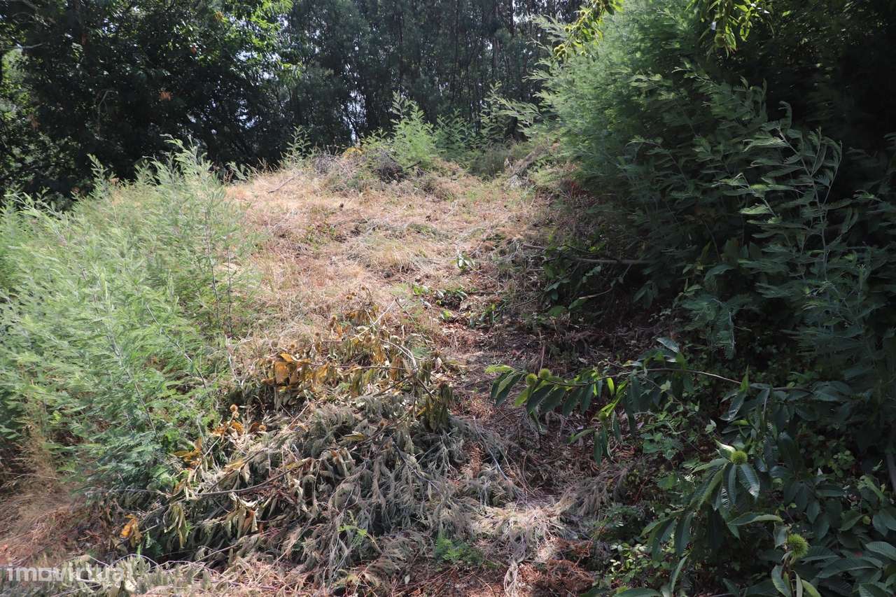 Lote de Terreno  Venda em Santa Eulália,Vizela-10