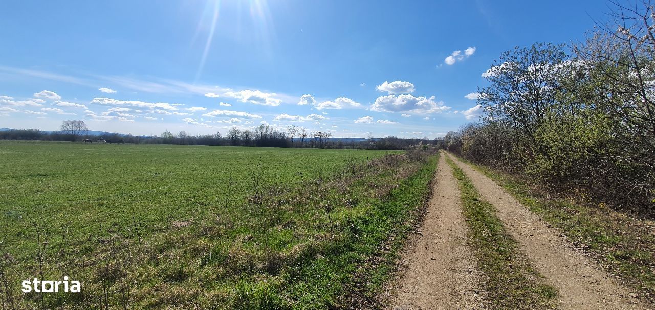 Busag teren intravilan de vanzare