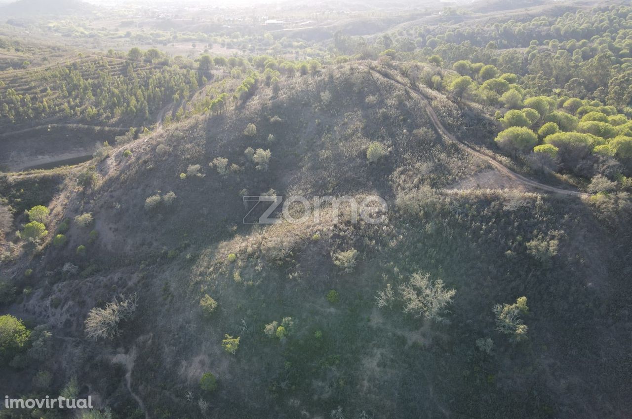 Terreno em Messines no Vale Figueira com 8.400m2, junto à auto-estr...