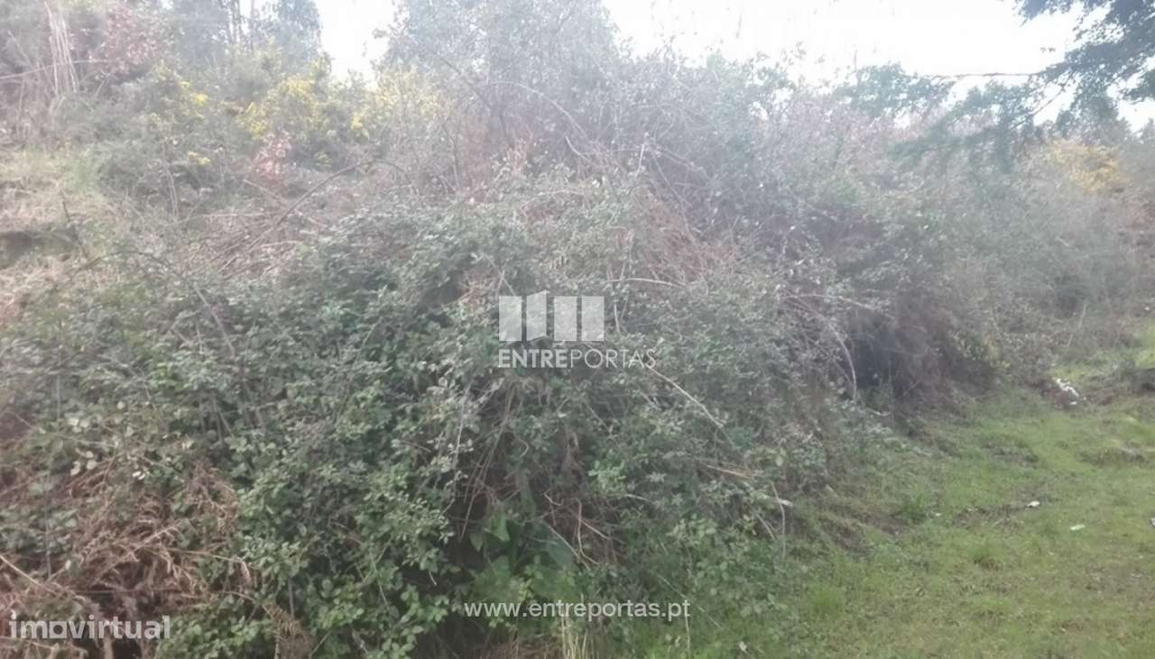 Venda Terreno, Sande, Marco de Canaveses - Grande imagem: 3/6