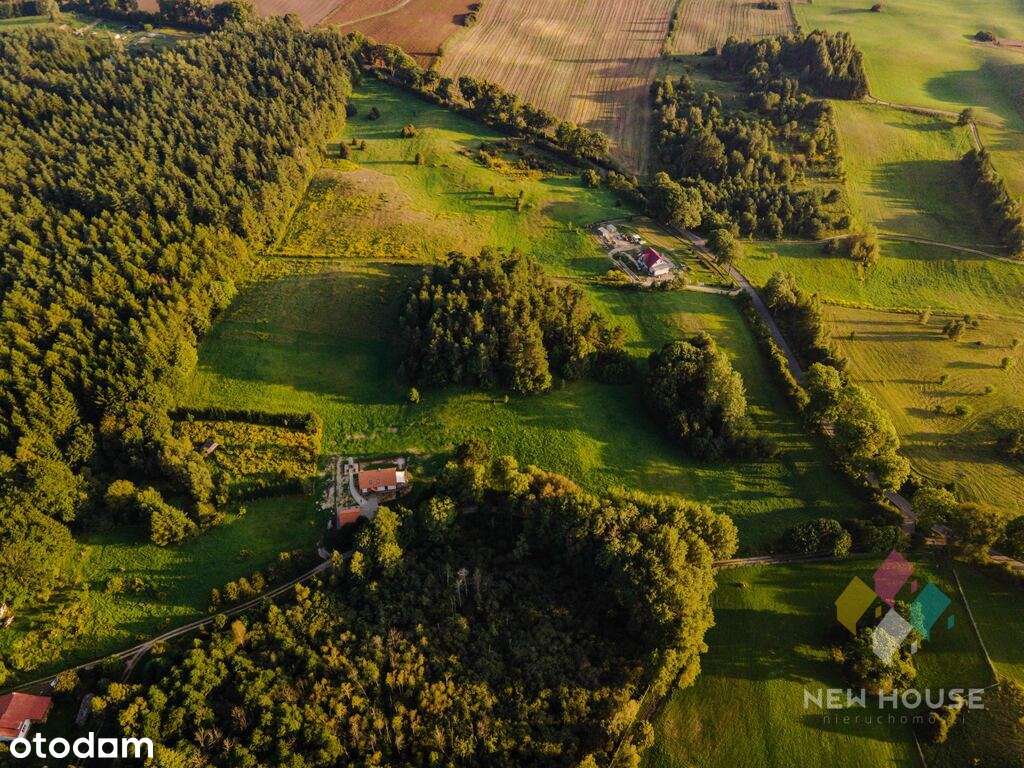 Kompleks działek  w otoczeniu lasu - Pełny obrazek: 5/6