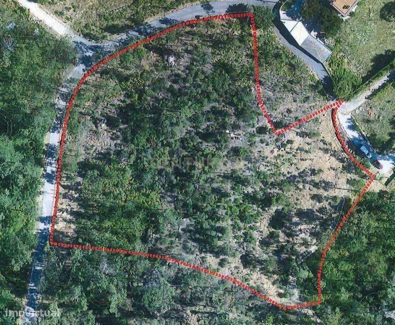 Terreno com viabilidade de construção com cerca de 3540m2 - Grande imagem: 2/4