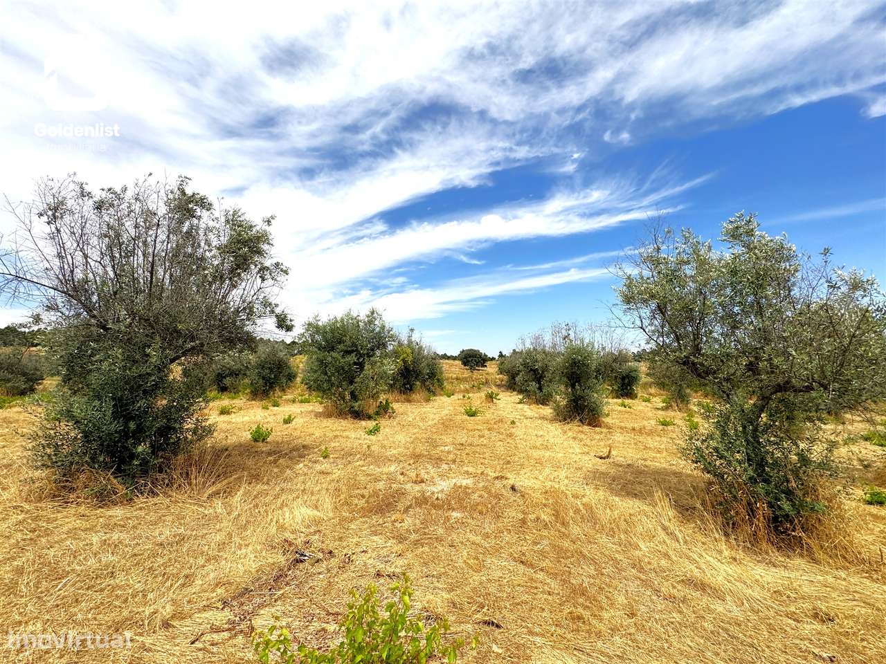 Quintinha  Venda em Escalos de Cima e Lousa,Castelo Branco-26