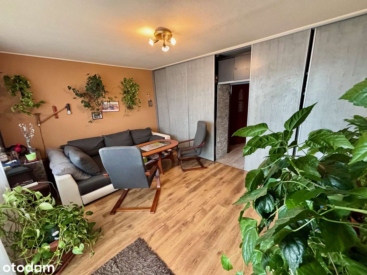 3 pokojowe mieszkanie na Widzewie, zielona okolica, dobra lokalizacja-1