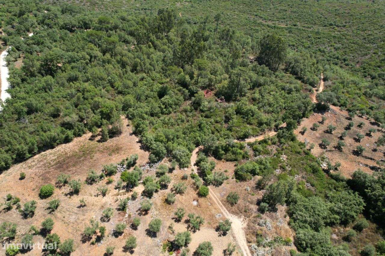 Terreno Rústico 3 minutos da Praia Fluvial do Agroal - Grande imagem: 5/13