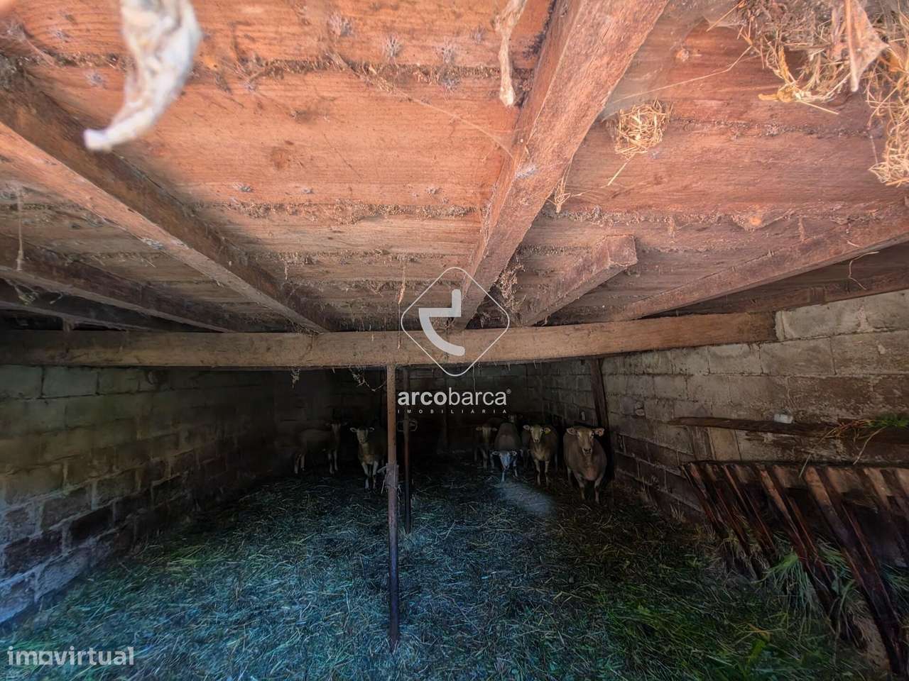 Quintinha com Potencial para Recuperação junto à Vila-9