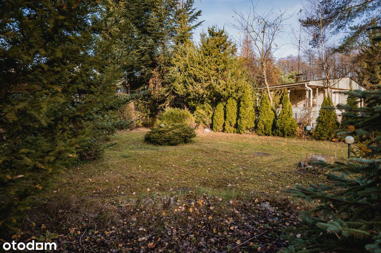 SŁAWICA | SKOKI | PIĘKNA DZIAŁKA Z DOMKIEM NAD JEZIOREM - Pełny obrazek: 5/14