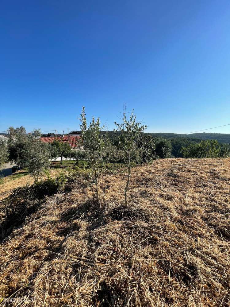 Terreno em Carreira Mato, Aldeia do mato - Grande imagem: 4/8