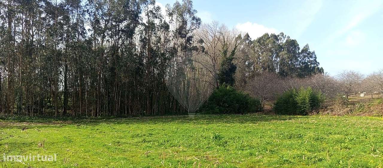 Terreno  para venda - Grande imagem: 5/6