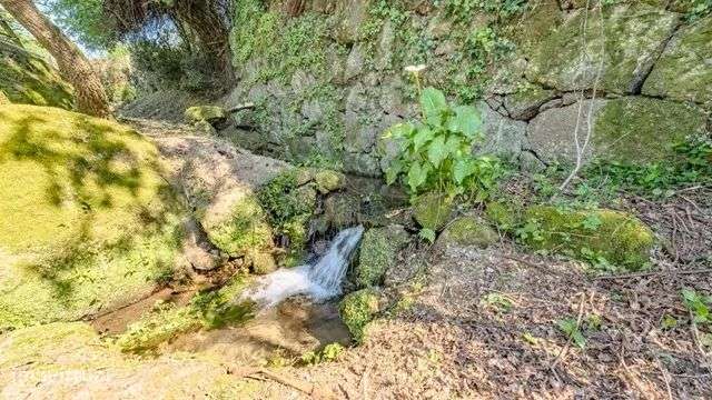 Quinta Exclusiva em Abação – Refúgio com 14.000 m²-28