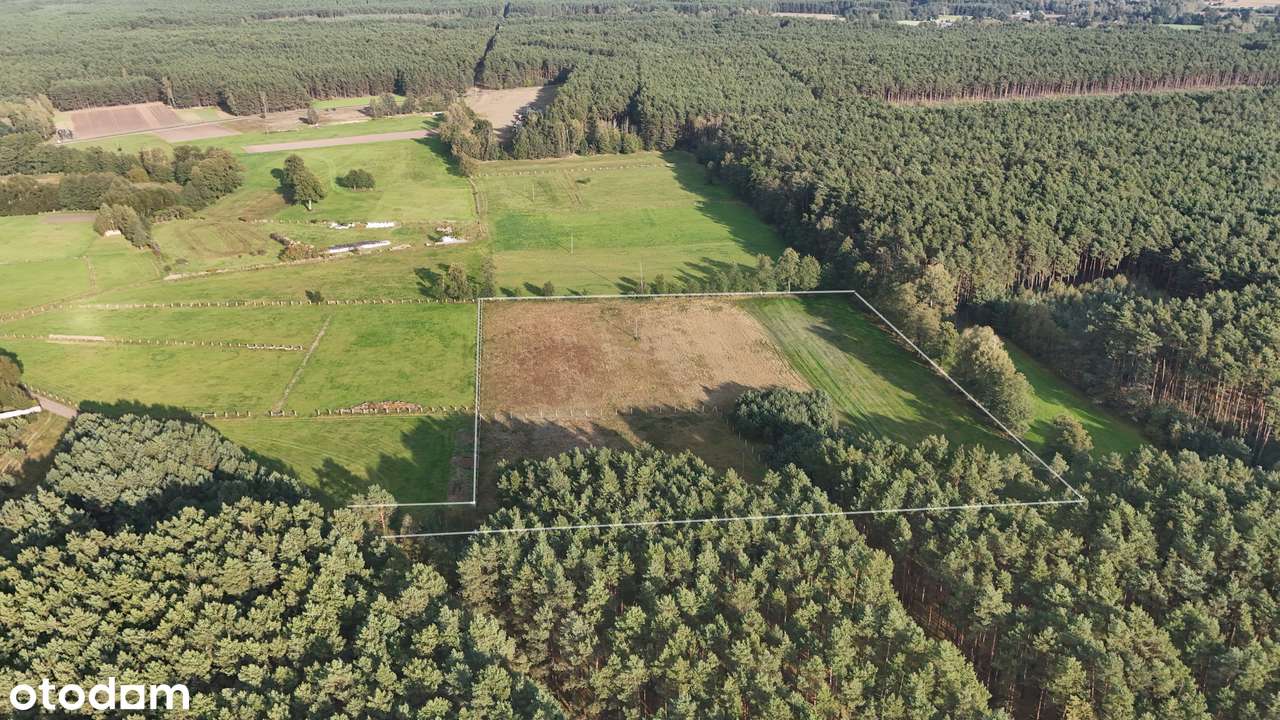 Duża, atrakcyjna działka otoczona lasami z wydanymi warunkami zabudowy - Pełny obrazek: 5/11