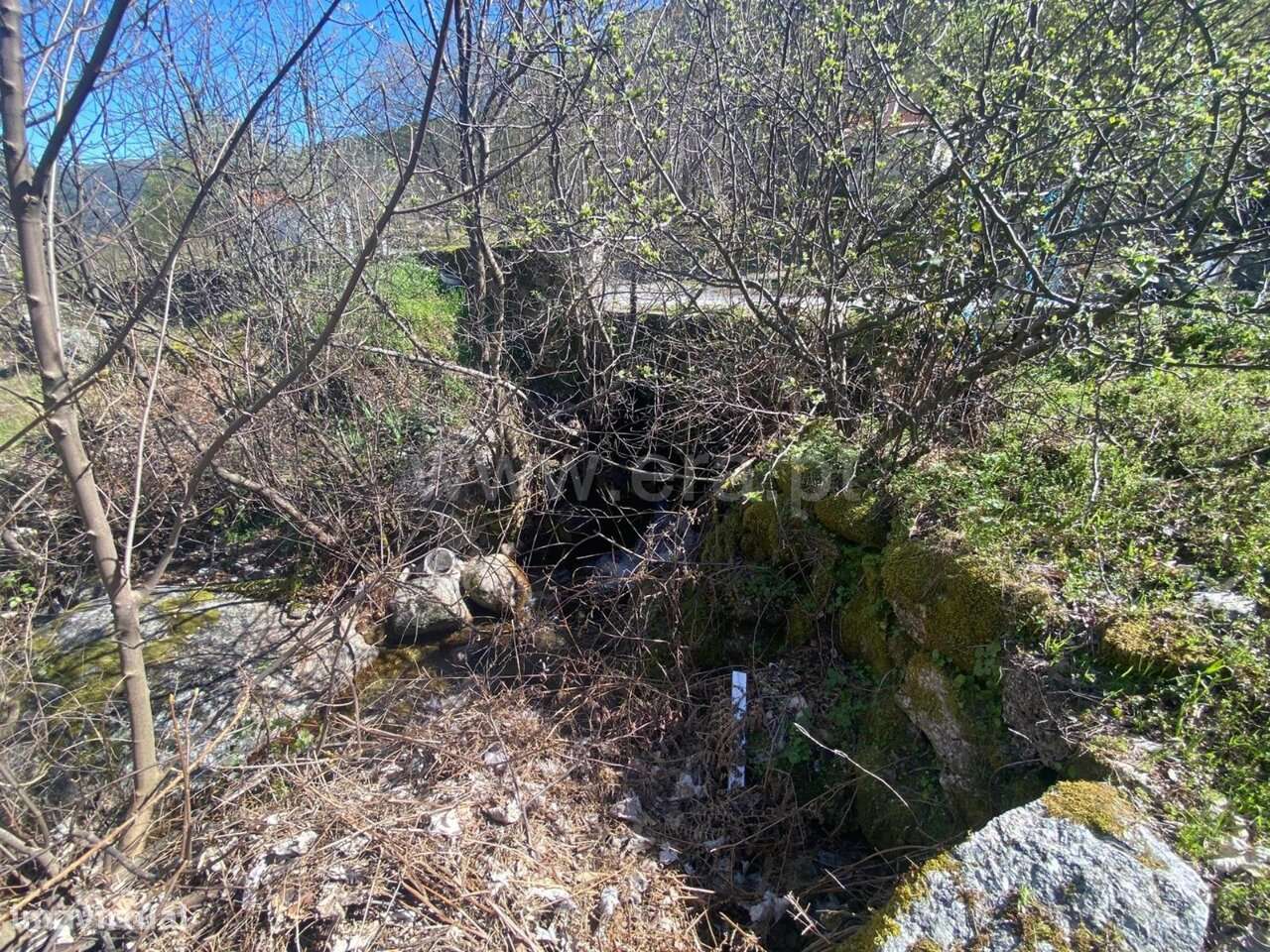 Lote / Manteigas, Manteigas (São Pedro) - Grande imagem: 5/15