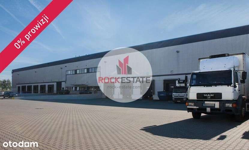 Magazyn w Żernikach 3729 m2 - 0% prowizji - Pełny obrazek: 5/9