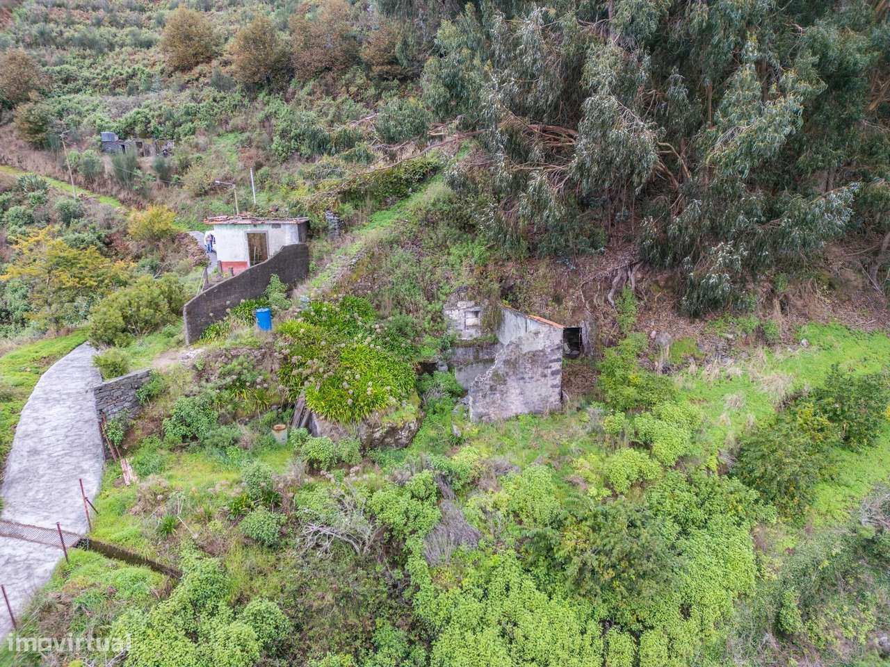 Terreno com 7.730 m2, situado nas zonas altas de Santa Cruz - Grande imagem: 4/27
