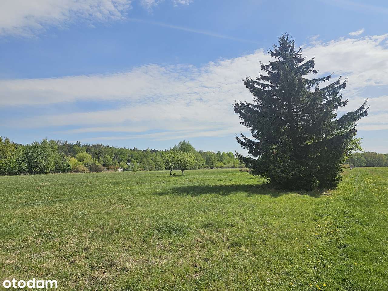 Piękne działki. Uchwalony plan. Obok szkoły, przystanku. Cisza, zieleń-4