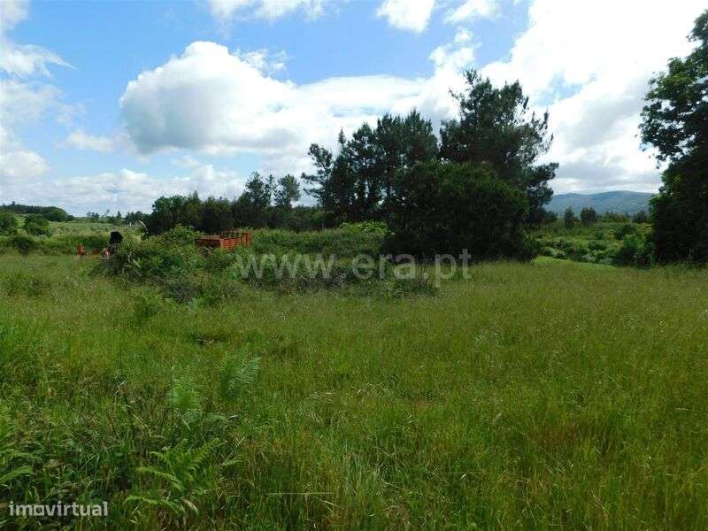 Terreno / Seia, Carragozela e Várzea de Meruge - Grande imagem: 5/6