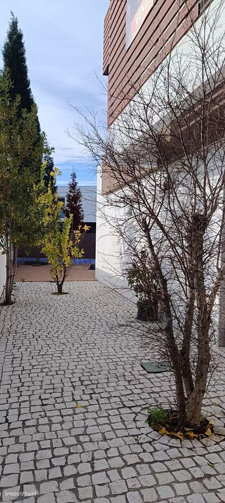 Moradia T4 Isolada na Urbanização do Bonito – Entroncamento-11