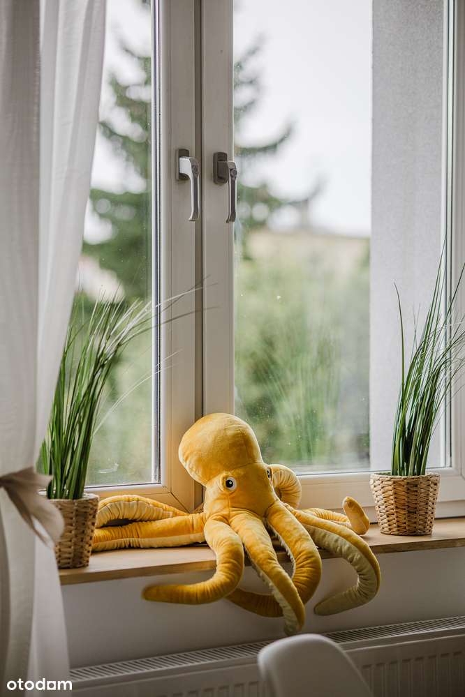 Wyremontowane, piękna willa miejska-6