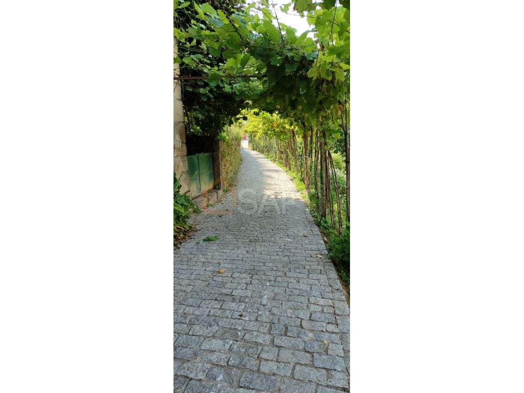 Moradia T4 - Cevide - Melgaço - Grande imagem: 4/33