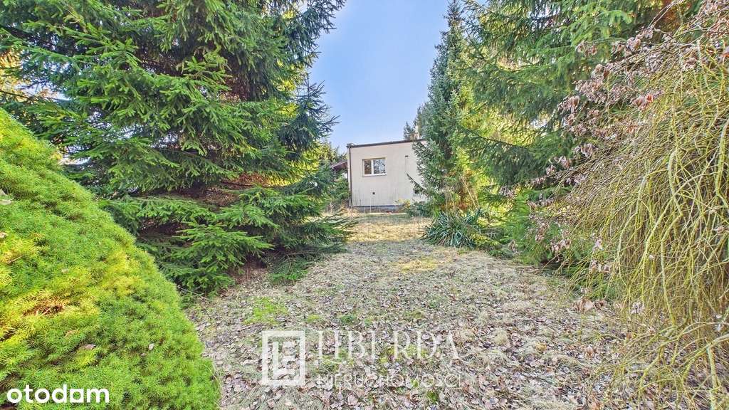 Dom z dużym ogrodem, Dąbrowica, ul. Kresowa-2