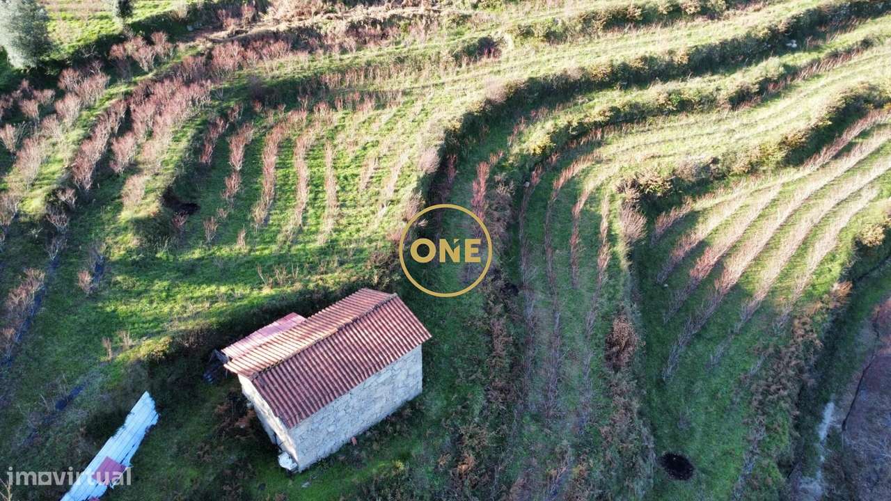 Terreno c/ Ruina - Grande imagem: 5/19