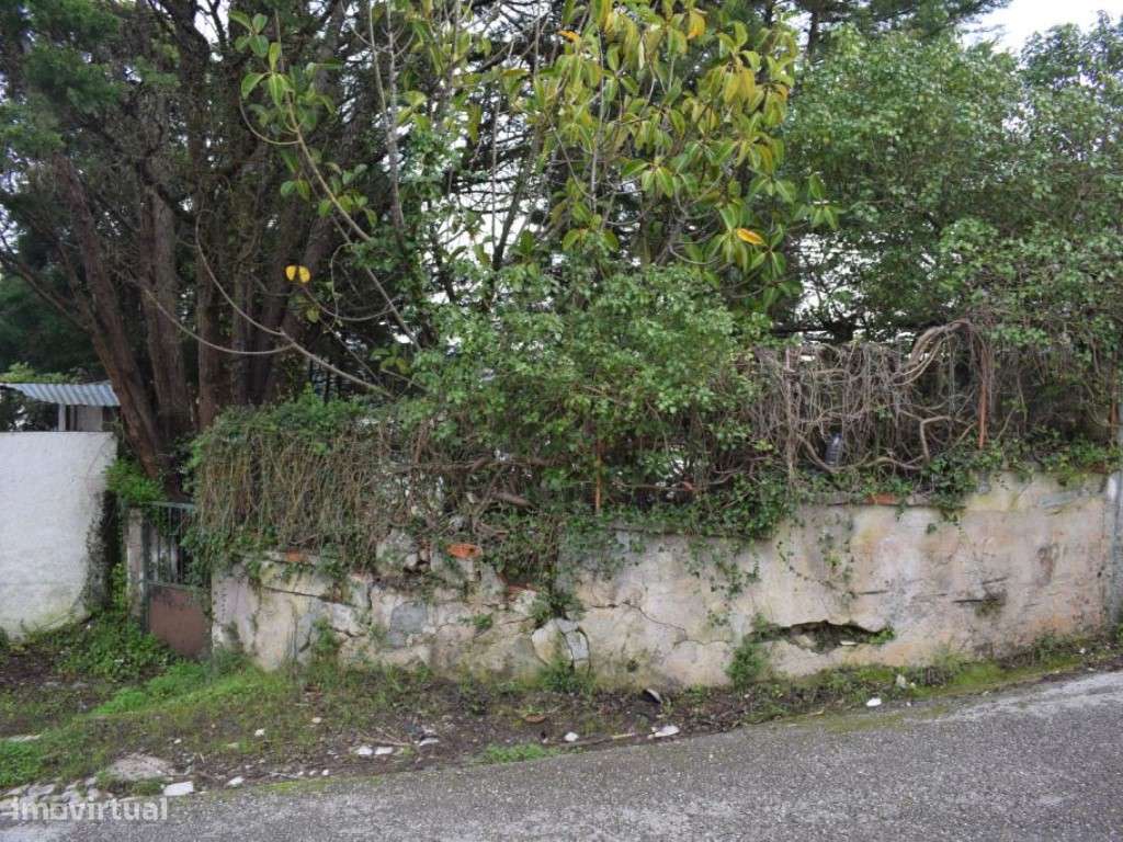 Quinta entre Antanhol e Cernache-15