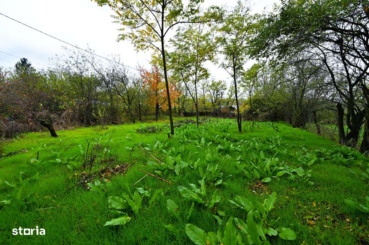 Vanzare teren de COLT 682mp Balta Lilieci Sat Lilieci Sinesti Ialomita-10