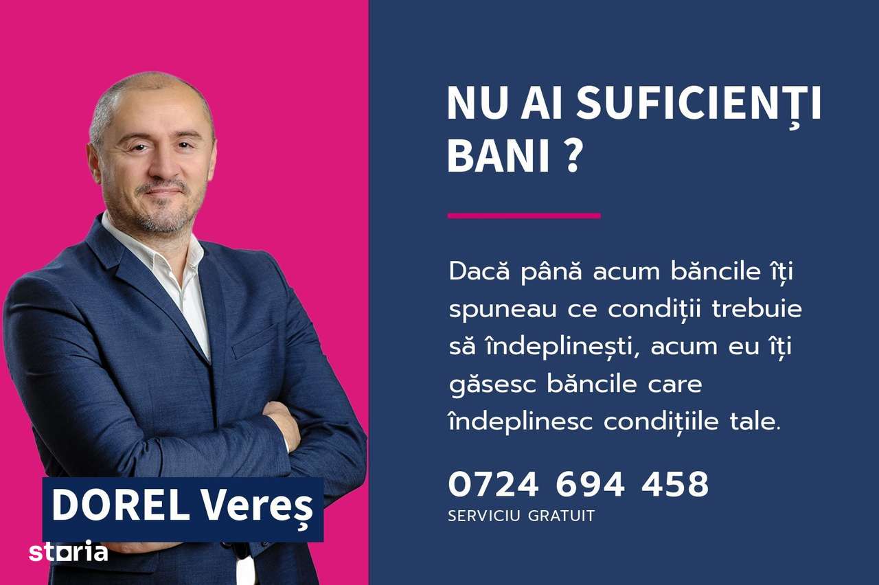 Oportunitate Investitie! Proprietate comerciala/industriala în Paulis-6