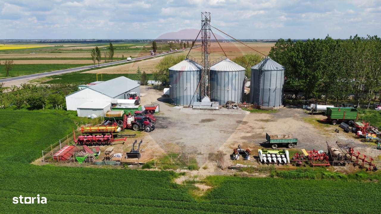 Ferma porcine la cheie - Imagine principală: 3/20