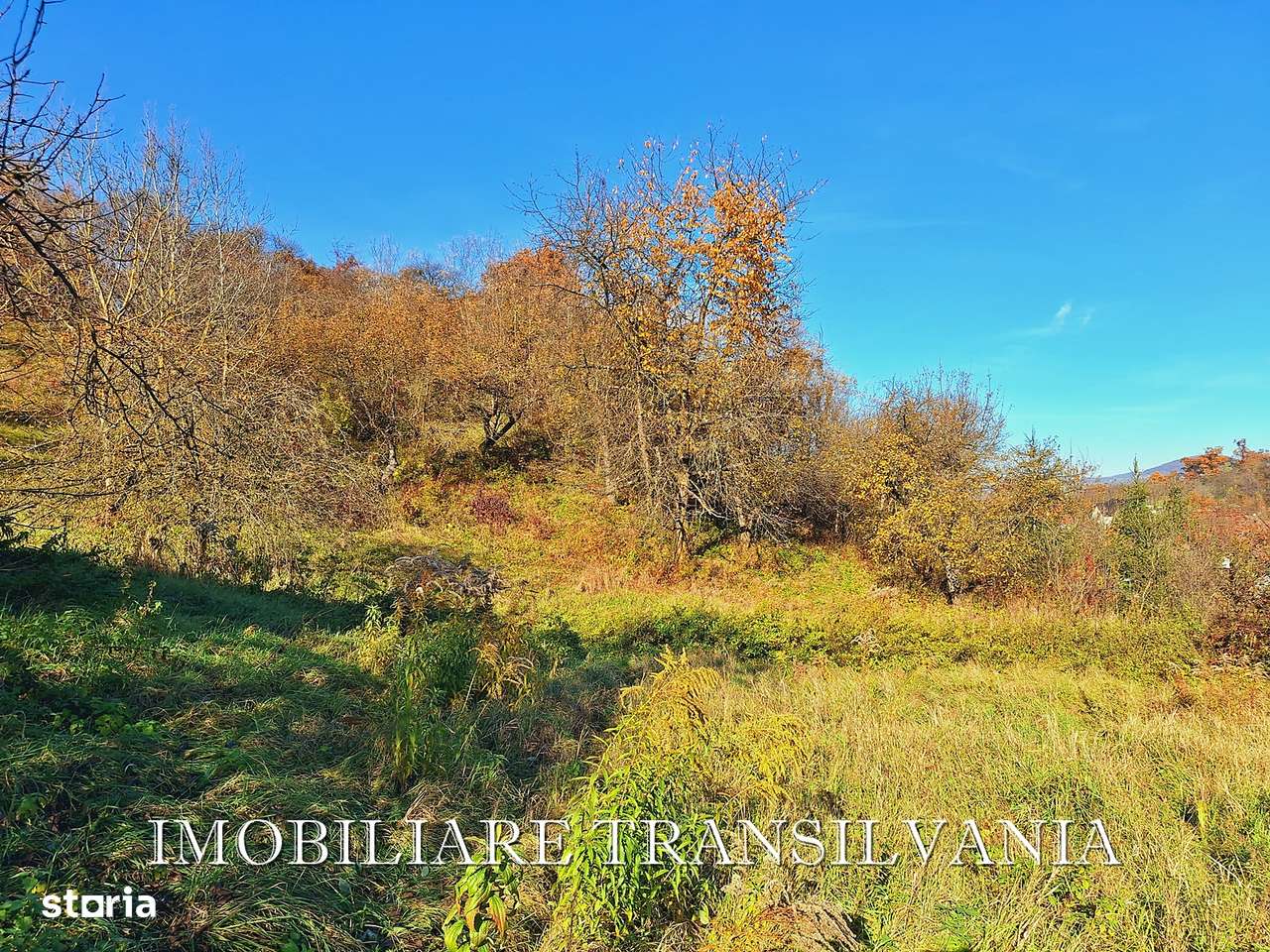 Teren intravilan 4200mp si casa - Valea Budacului-4