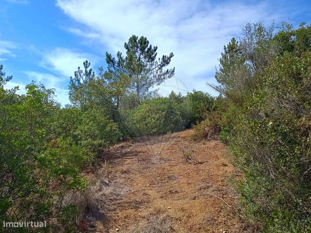 Terreno  para venda - Grande imagem: 5/12