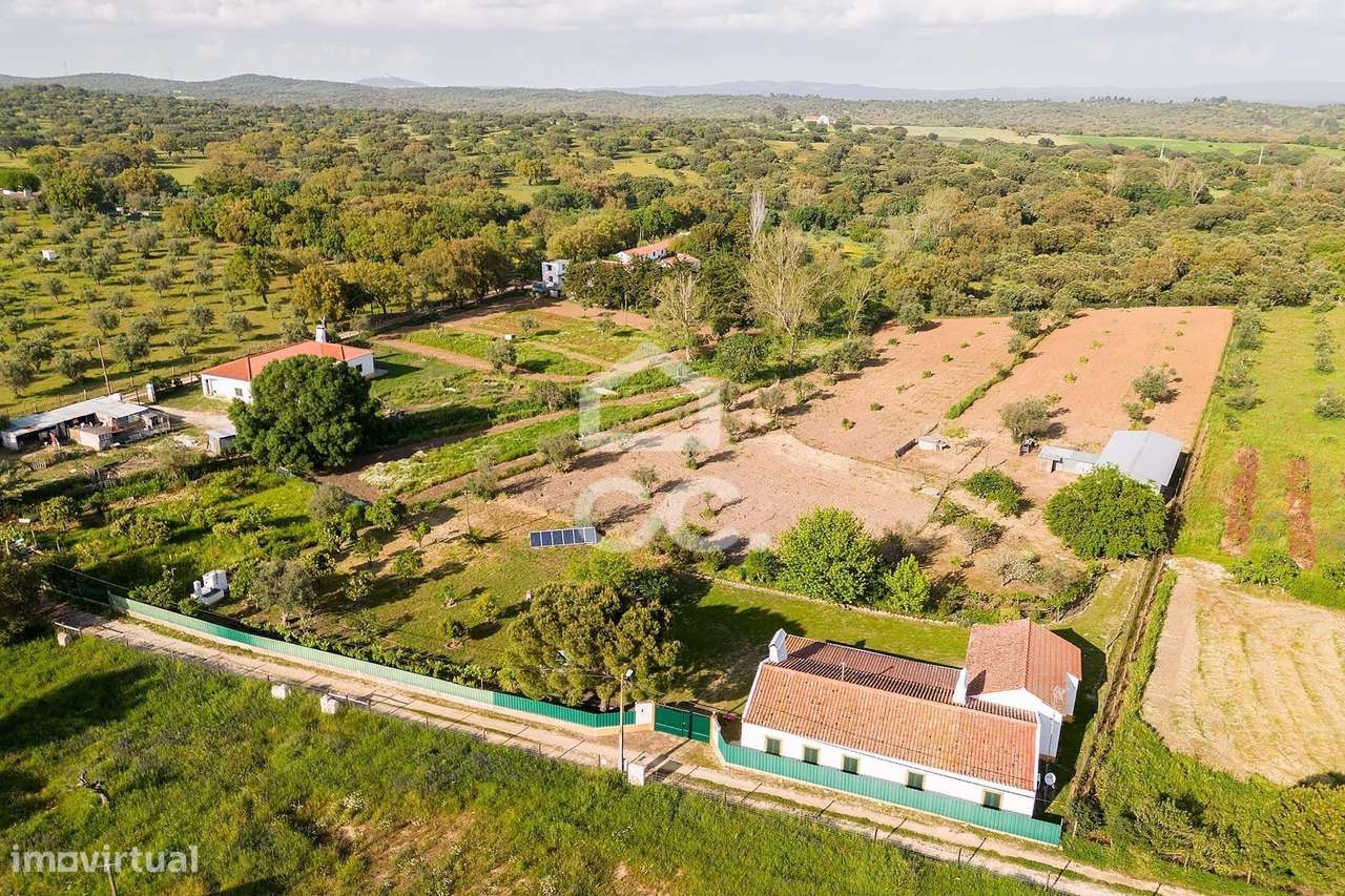 Quinta de 9250m2 c/ Moradia T4 térrea, anexo e armazém | Azaruja-5