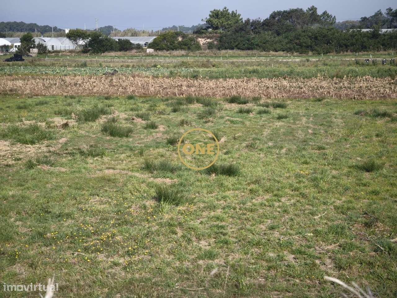 Terreno rústico em Estela - Grande imagem: 4/7