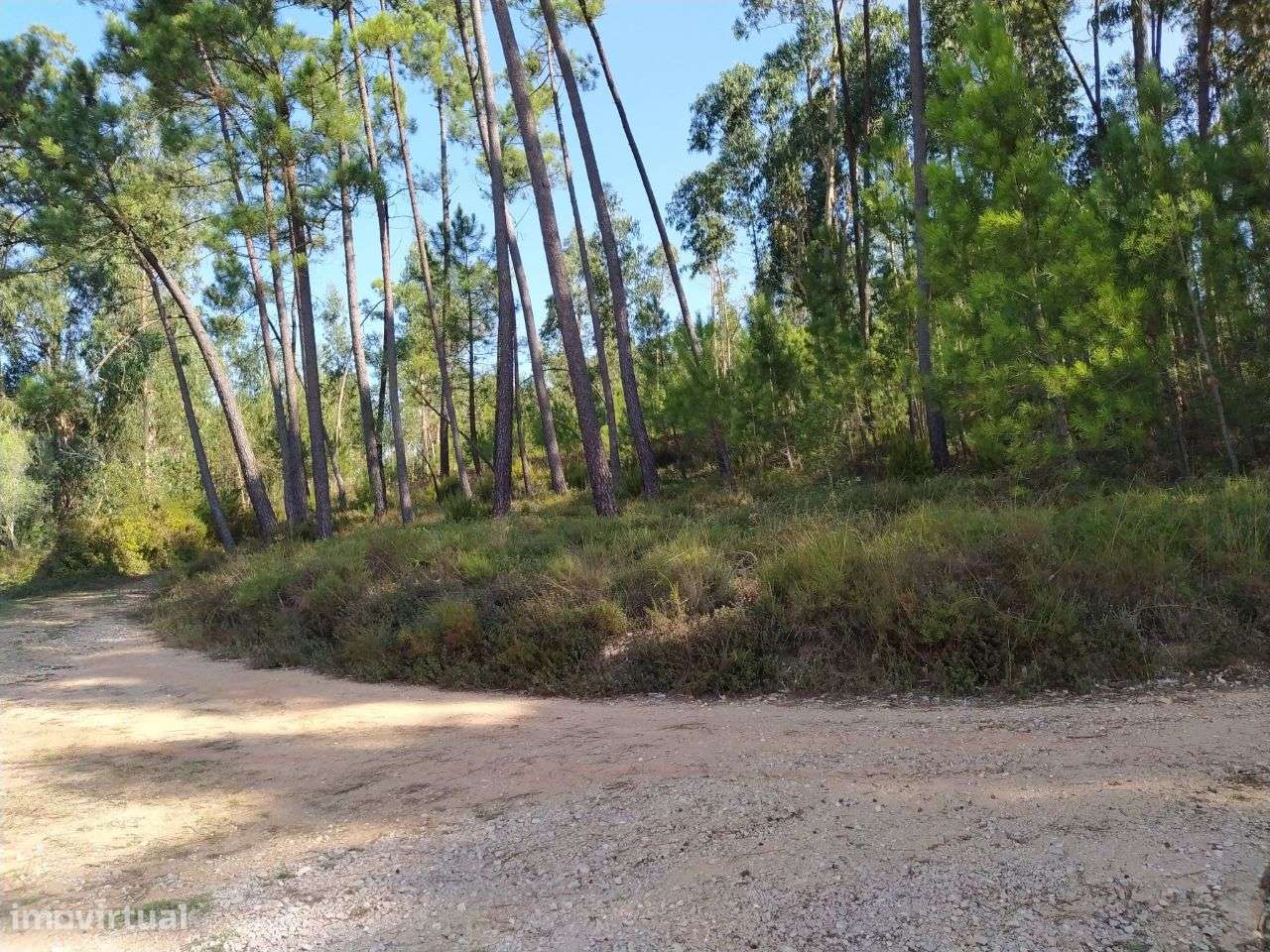 Terreno Para Construção - Grande imagem: 4/5