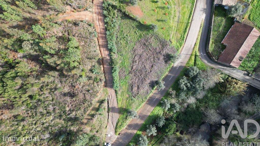 Terreno para construção em Miranda do Corvo - Grande imagem: 2/26