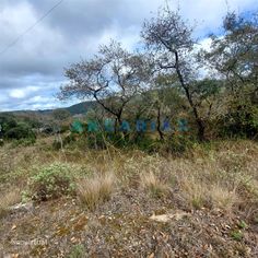 ANG1223 - Terreno para Venda em Alqueidão da Serra, Porto de Mós - Grande imagem: 5/5