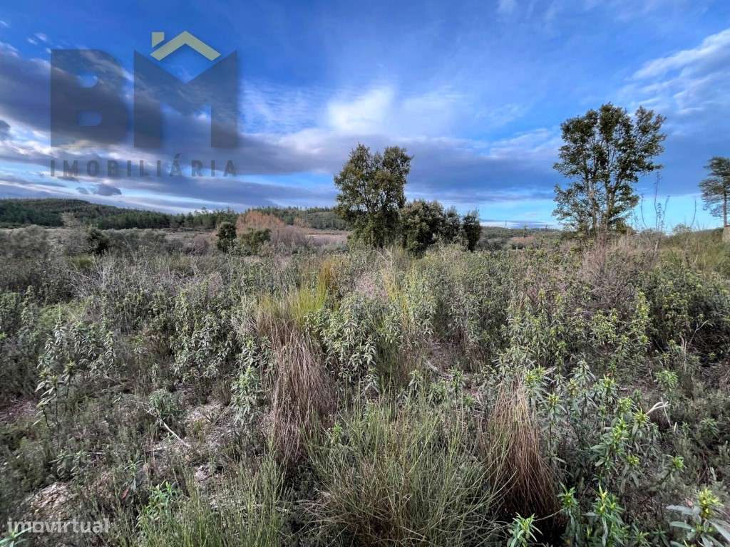 Terreno rústico com cerca de 4.120m2 para venda no Freixial do Campo! - Grande imagem: 3/12