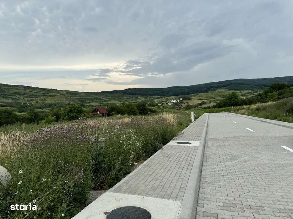 Teren de vanzare 803 mp cu AC in Borhanci, Colonia Sopor, Cluj - Imagine principală: 3/5