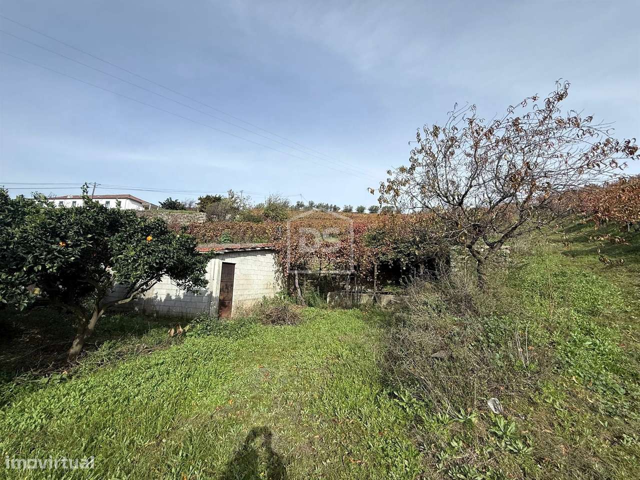 Quinta T4 Venda em Fontelas,Peso da Régua-25