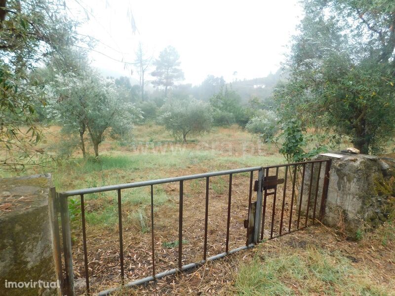 Terreno / Covilhã, Ourondo