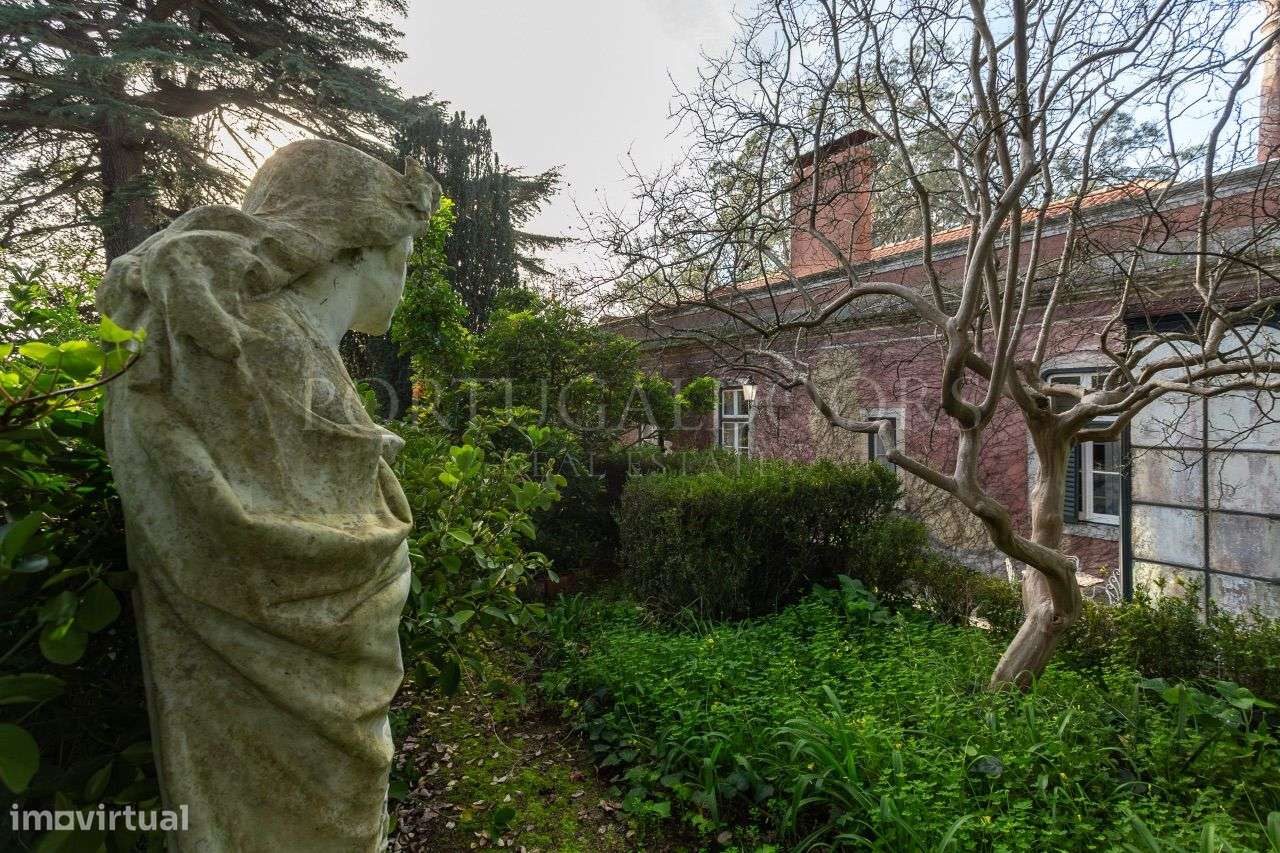 Quinta 5Ha em Azeitão-5