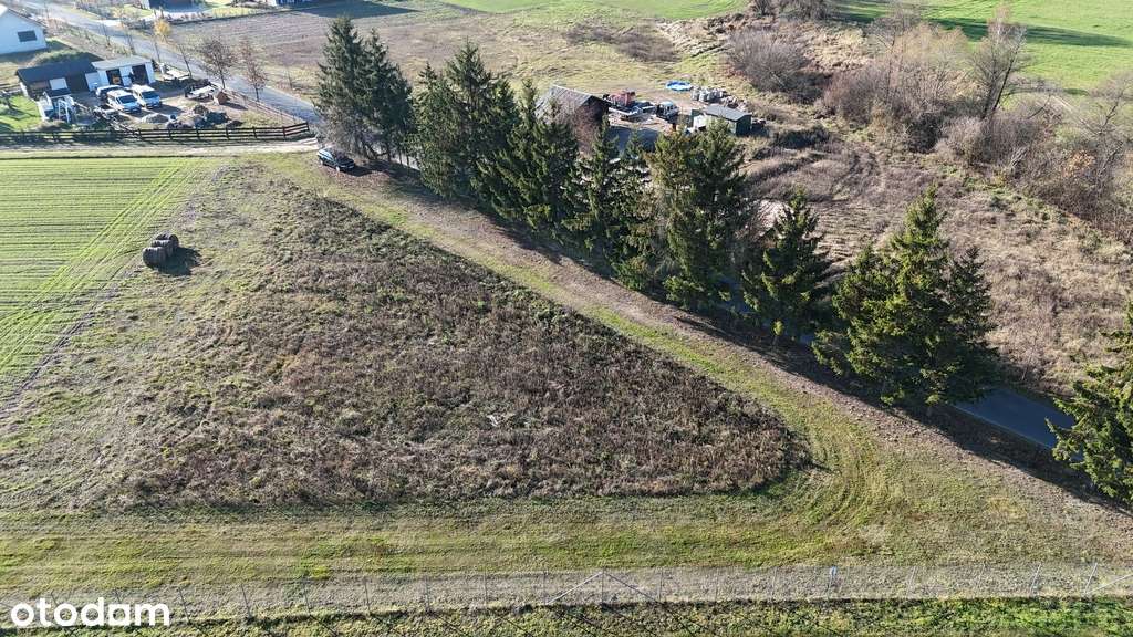 Działka 1681 m² – otoczona lasem i łąkami - Pełny obrazek: 4/9