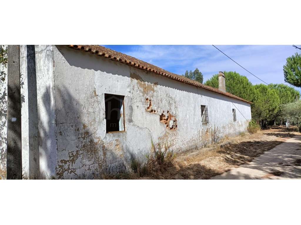 Monte com Moradia para Restauro - Grande imagem: 4/12