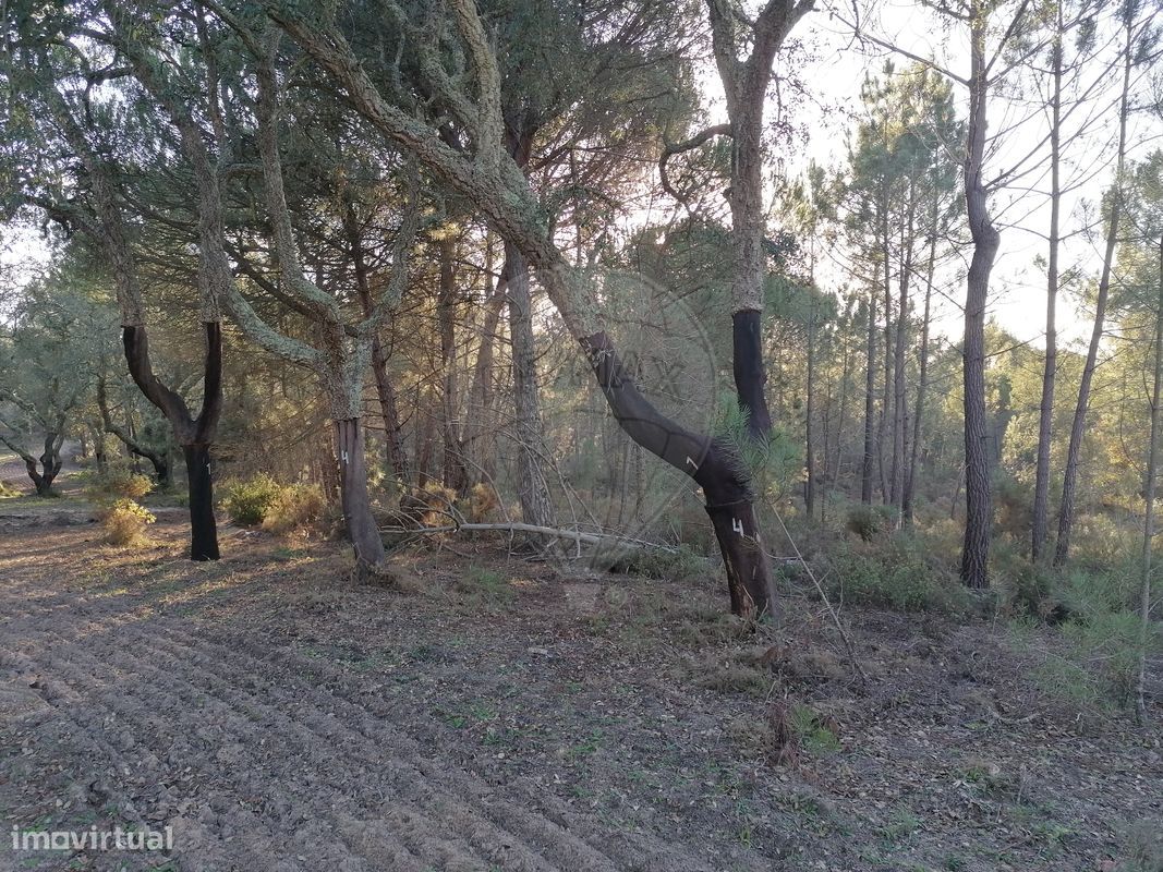 Terreno  para venda