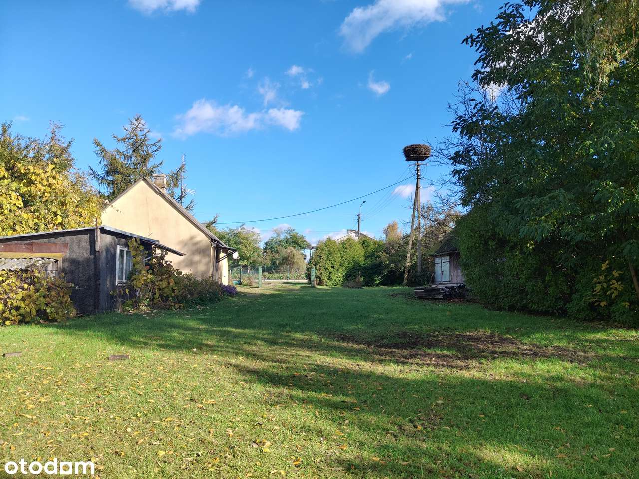 Sprzedam działkę - Pełny obrazek: 5/13